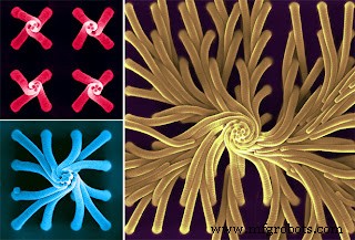 Nanofaser- & Filament-basierte Nanocarrier: Fortschritt bei präziser Medikamentenabgabe