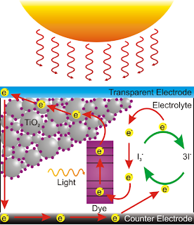 Nano-Baum ZnO-Nanodrähte steigern Effizienz von Farbstoff-Solarzellen