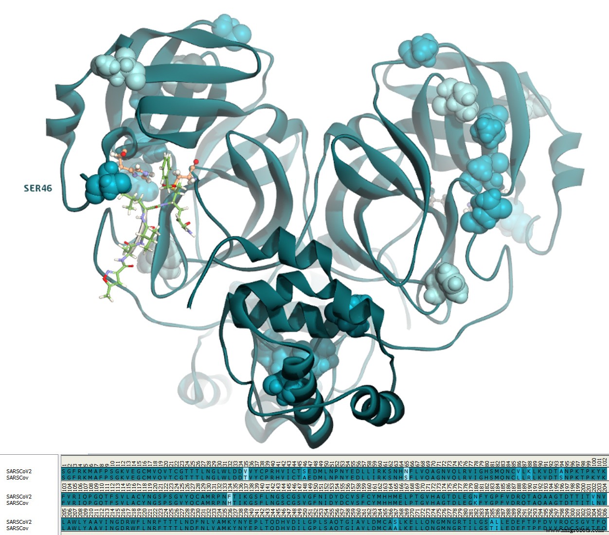 Repurposing FDA-zugelassener Medikamente zur Inhibition der SARS-CoV-2-Hauptprotease: Eine virtuelle Screening-Analyse