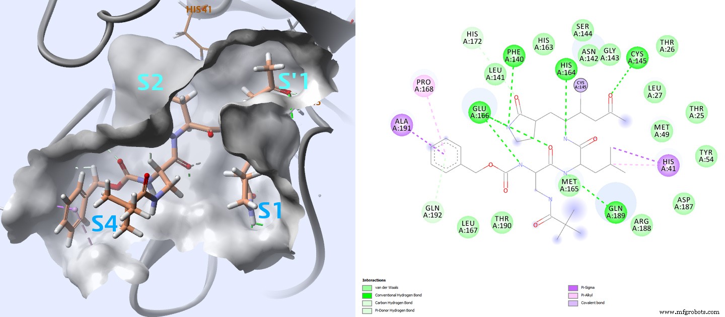 Repurposing FDA-zugelassener Medikamente zur Inhibition der SARS-CoV-2-Hauptprotease: Eine virtuelle Screening-Analyse