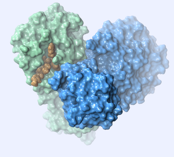 Repurposing FDA-zugelassener Medikamente zur Inhibition der SARS-CoV-2-Hauptprotease: Eine virtuelle Screening-Analyse