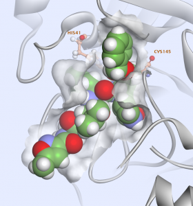 Repurposing FDA-zugelassener Medikamente zur Inhibition der SARS-CoV-2-Hauptprotease: Eine virtuelle Screening-Analyse
