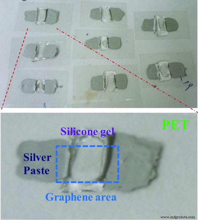 Ein flexibler Graphen-Biosensor für schnelle, hochempfindliche Detektion von Eierstockkrebszellen