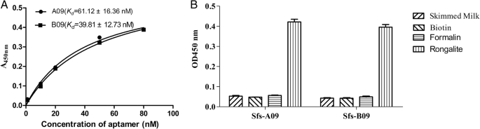 Schnelle Vor-Ort-Detektion von Rongalit in Lebensmitteln mittels Aptamer-basiertem Sandwich-Lateral-Flow-Strip-Assay