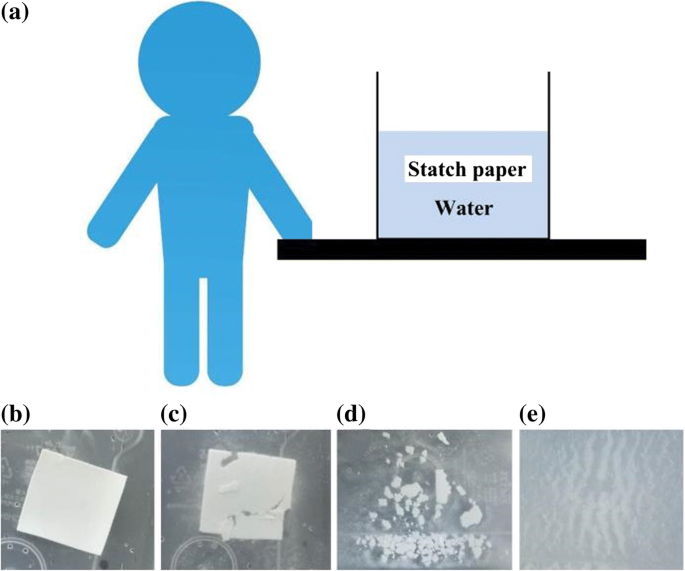 Umweltfreundlicher Stärke-Papier Triboelektrischer Nanogenerator für Echtzeit-Menschsschweiß-Sensing