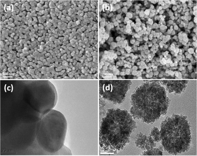 Vergleichende Toxizität von PEG-beschichteten Cobaltferrit-Nanopartikeln und Nanosphären
