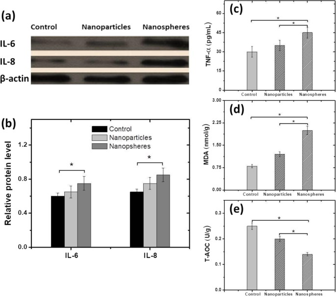 Vergleichende Toxizität von PEG-beschichteten Cobaltferrit-Nanopartikeln und Nanosphären