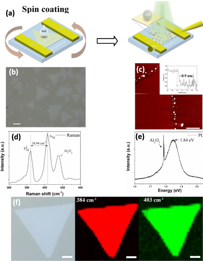 Ultrahochleistungs-UV-Vis-Photodetektor: ZnO-QD/Monolayer-MoS₂-Heterostruktur