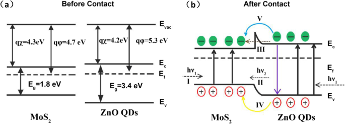 Ultrahochleistungs-UV-Vis-Photodetektor: ZnO-QD/Monolayer-MoS₂-Heterostruktur