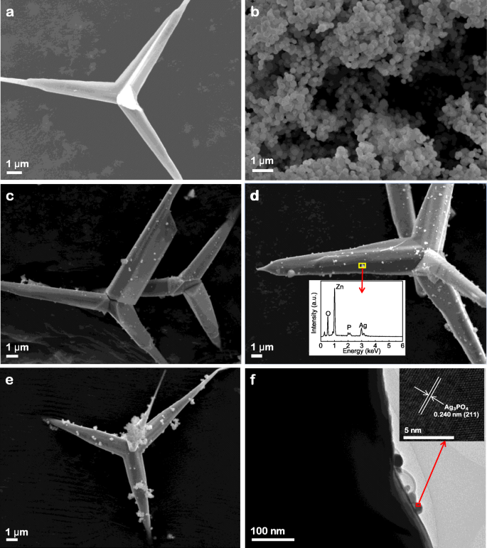 Synthese und verbesserte photokatalytische Degradation von Rhodamin B durch Ag₃PO₄/T-ZnO-Nanodraht-Heterostrukturen
