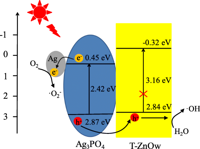 Synthese und verbesserte photokatalytische Degradation von Rhodamin B durch Ag₃PO₄/T-ZnO-Nanodraht-Heterostrukturen