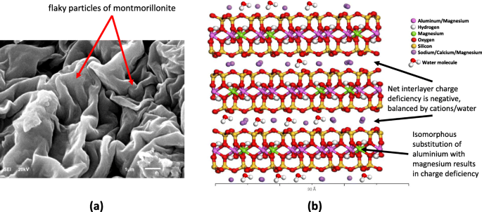 Nano-Tonmineralien: Ein vielversprechender nano-immunologischer Schutz gegen COVID-19