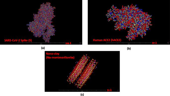 Nano-Tonmineralien: Ein vielversprechender nano-immunologischer Schutz gegen COVID-19