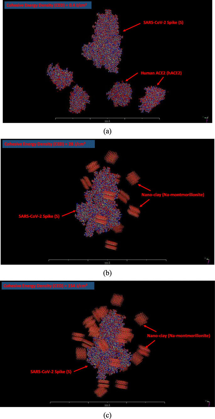 Nano-Tonmineralien: Ein vielversprechender nano-immunologischer Schutz gegen COVID-19