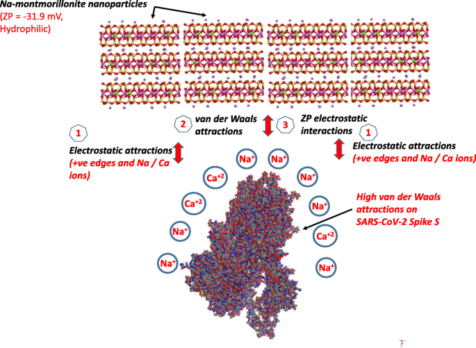 Nano-Tonmineralien: Ein vielversprechender nano-immunologischer Schutz gegen COVID-19