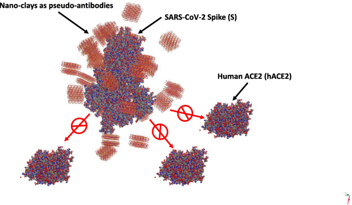 Nano-Tonmineralien: Ein vielversprechender nano-immunologischer Schutz gegen COVID-19