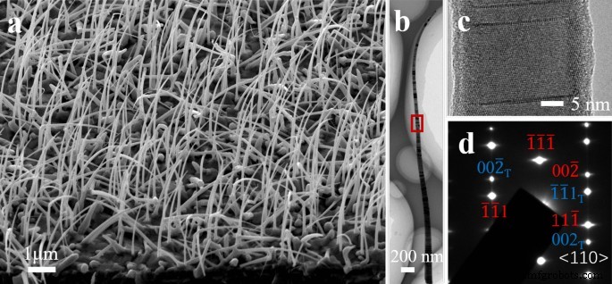 Verbesserte Schwachlichtempfindlichkeit: Endkontaktierte InAsSb-Nanodraht-Array-Photodetektoren