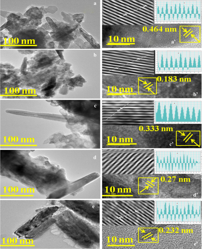 Verbesserte photokatalytische und antimikrobielle Leistung von Mg-dotierten ZnO-Nanoröhrchen: Strukturcharakterisierung und Molekulardocking-Einblicke