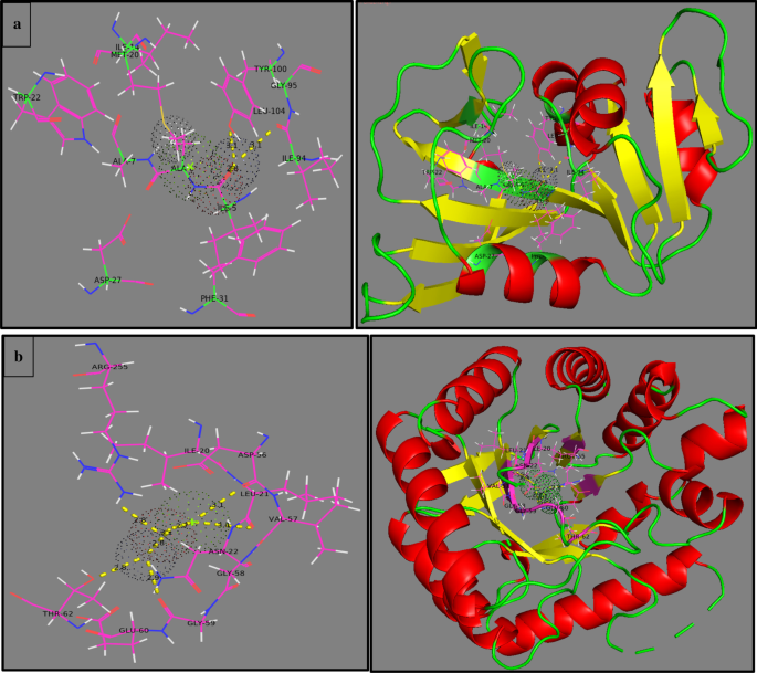 Verbesserte photokatalytische und antimikrobielle Leistung von Mg-dotierten ZnO-Nanoröhrchen: Strukturcharakterisierung und Molekulardocking-Einblicke