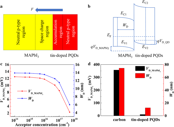 Steigerung der Effizienz kohlenstoffbasierter Perowskit-Solarzellen: Zinn-dotierte Quantenpunkt-Interfacschicht verbessert photovoltaische Leistung