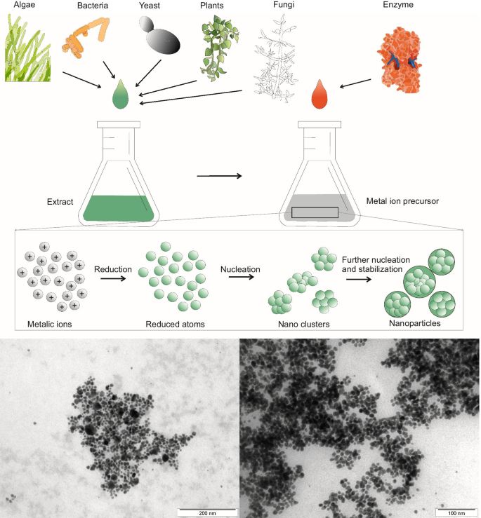 Fortgeschrittene Ansätze zur Synthese von Edelmetall-Nanopartikeln