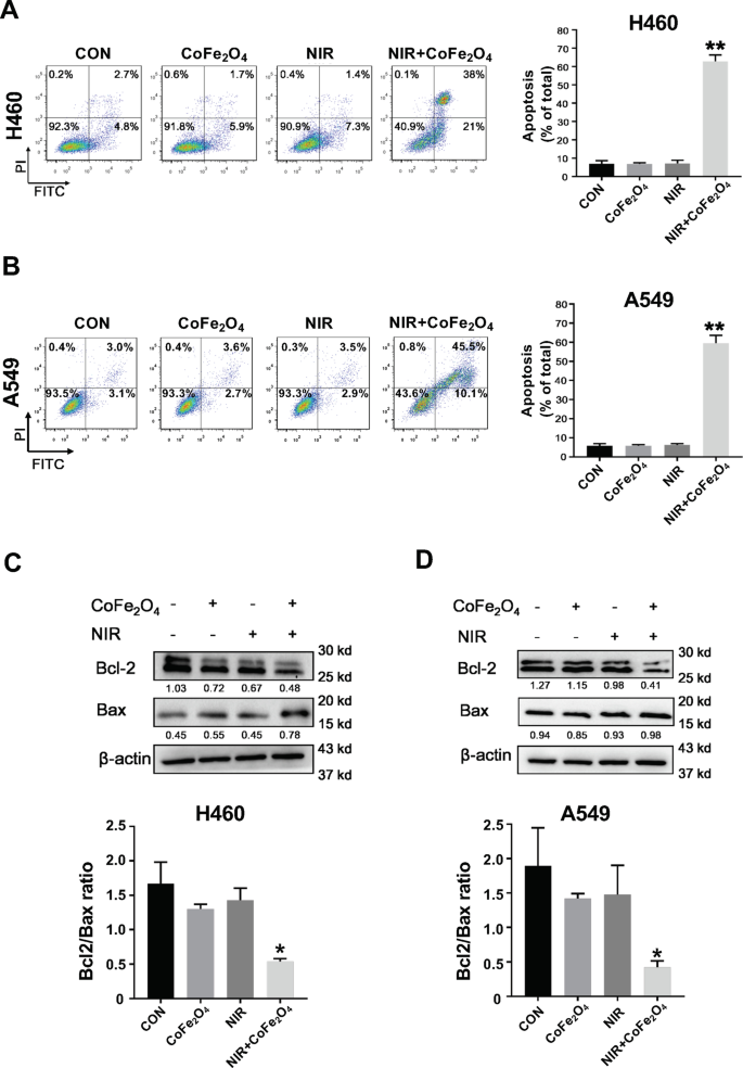 CoFe₂O₄-Quantenpunkte: Duale Photothermische/Photodynamische Therapie für NSCLC – Induktion von Apoptose über PI3K/AKT-Modulation