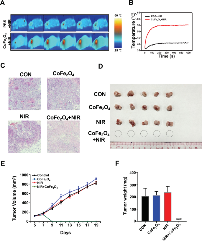 CoFe₂O₄-Quantenpunkte: Duale Photothermische/Photodynamische Therapie für NSCLC – Induktion von Apoptose über PI3K/AKT-Modulation