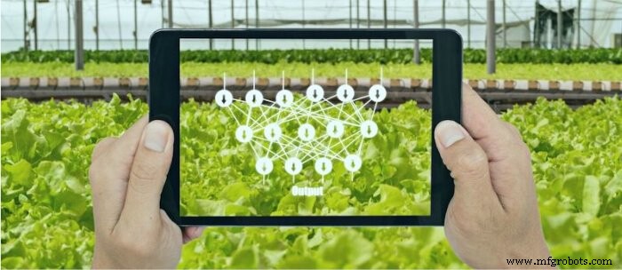 Deep Learning vs. Machine Learning: Die wichtigsten Unterschiede verstehen