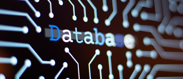 MEP Workforce Database: Förderung von Fertigungstalenten durch Datentransparenz