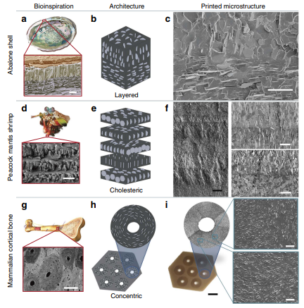Revolutionierung der Composite-Fertigung: Magnetischer 3D-Druck für maßgeschneiderte Materialien