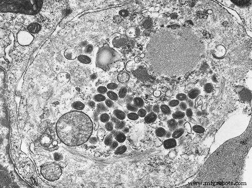 Der rasante Aufstieg antibakterieller & antimikrobieller Materialien: Die Zukunft von Gesundheit & Sicherheit gestalten