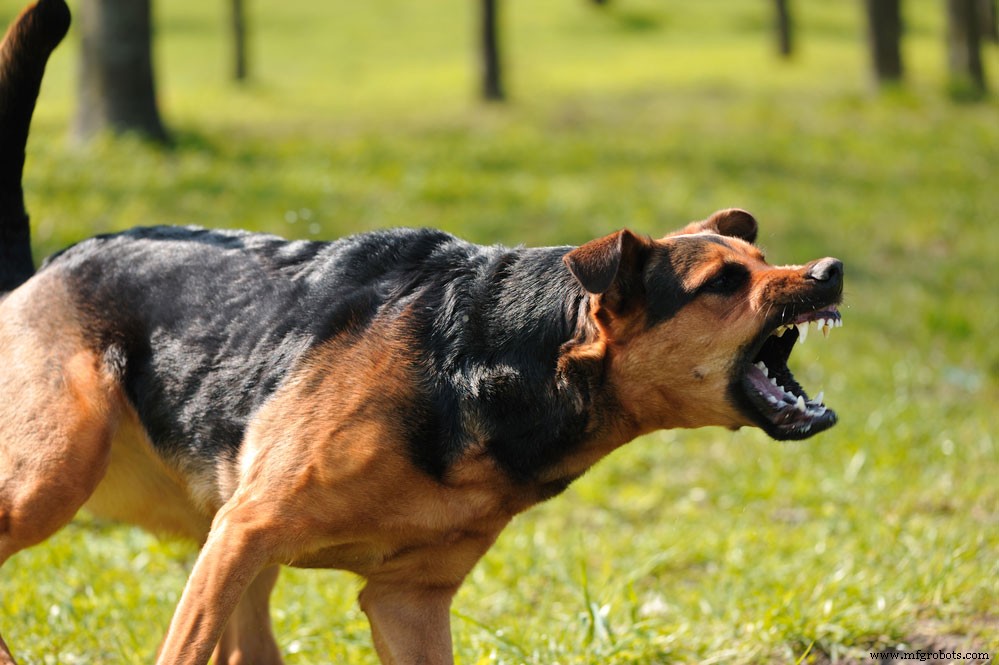 DIY Ultraschall-Hundevertreiber: Aggressive Hunde sicher fernhalten