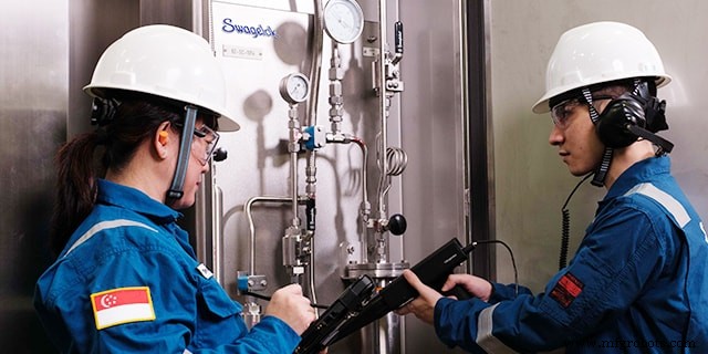 Skills Gap schließen: Wie Training & Advisory Services Ihr Team voranbringen